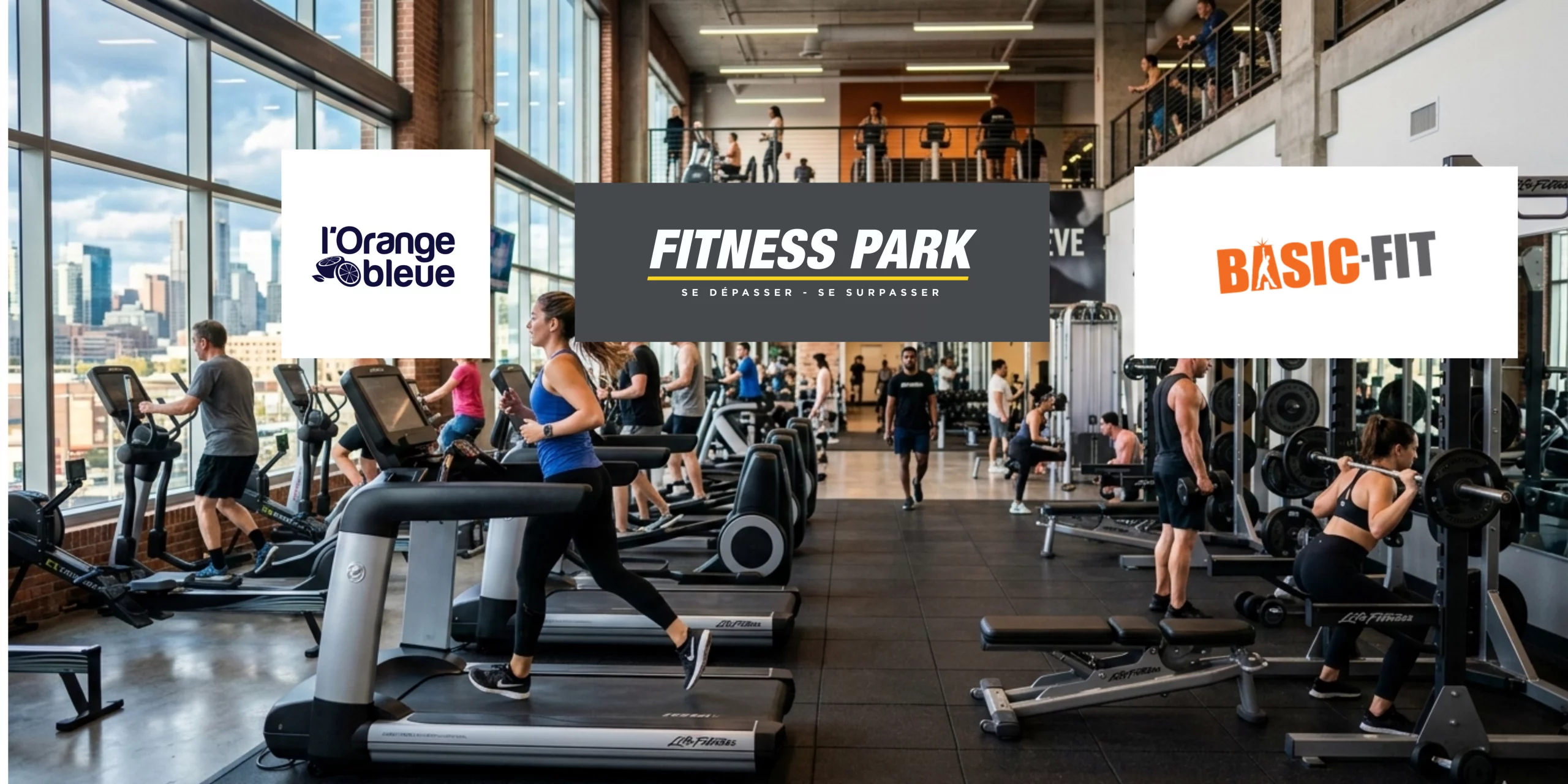 Top salles de sport 2026 : comparatif complet pour bien choisir